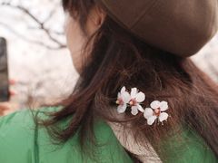 -洛阳市隋唐城遗址植物园