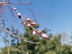 -大兴滨河森林公园