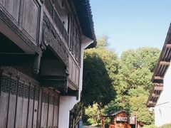 -西溪国家湿地公园