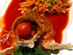 -淮扬韵(高新大都荟店)