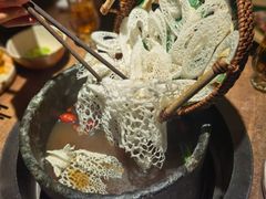 -蘑界·野生菌火锅(深业上城店)