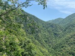 -东天目山风景区