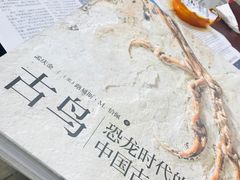 -华东政法大学(松江校区)
