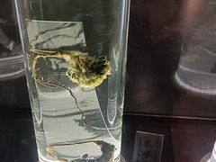 -广东中医药博物馆