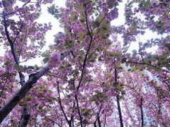 -苏州河梦清园环保主题公园