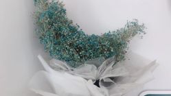 -WENDY·温迪皮肤管理