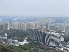 -杭州半山国家森林公园