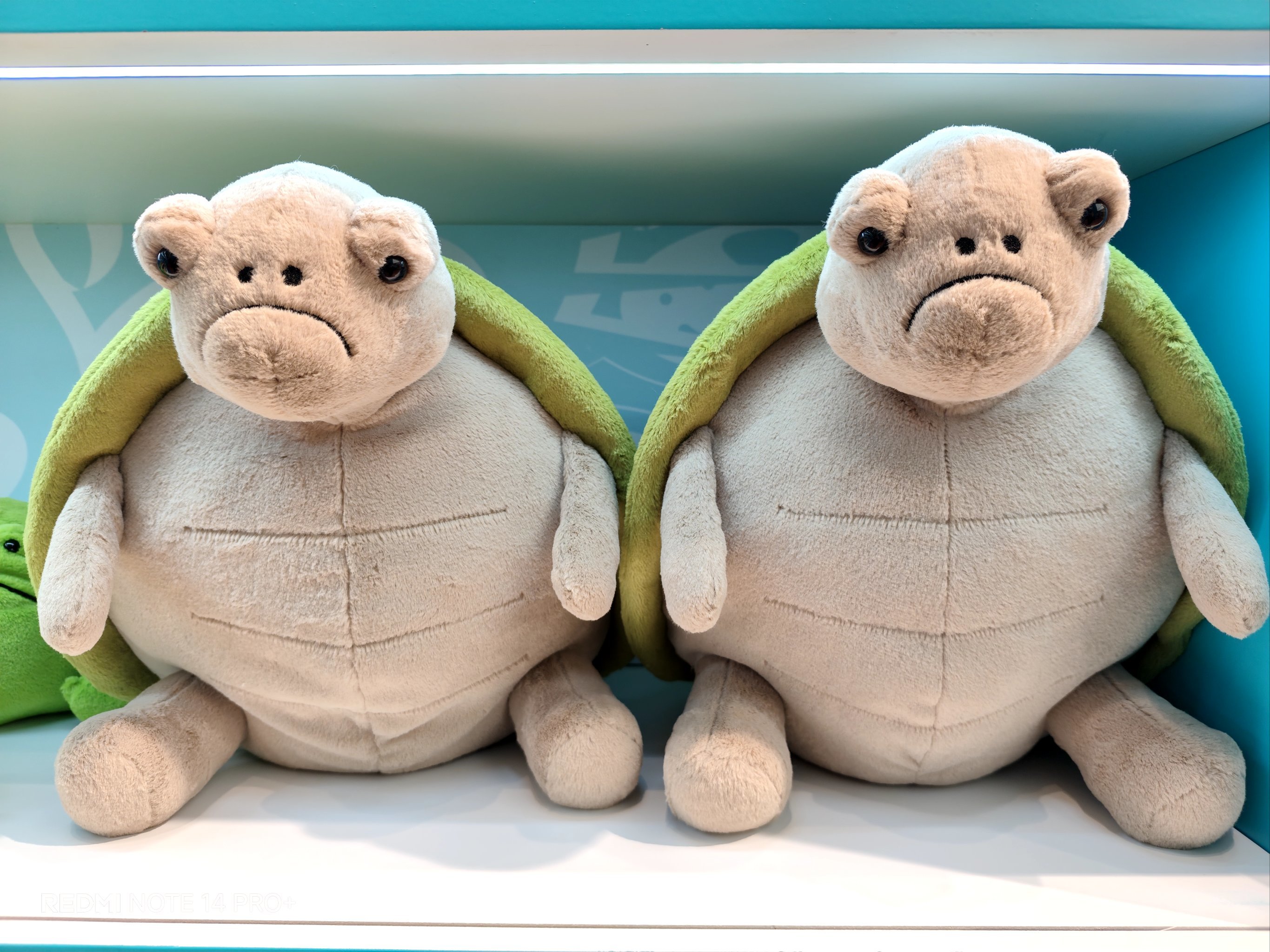 磁力猪_磁力猪为和替戈拉生片是几联疗法 磁力猪_磁力猪为和替戈拉生片是几联疗法 磁力资讯