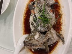 -海宝酒家(中山四路店)