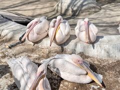 -水上乐园·欢乐世界