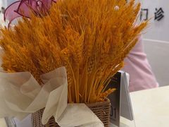 -茂菊口腔连锁(浦东南路店)