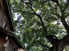 -云水谣景区