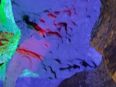 -寻龙山风景旅游区