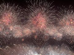 -广州白天鹅宾馆