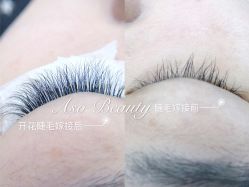 点击看大图 -Aso Artist Beauty美甲美睫