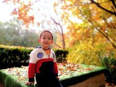 -大兴滨河森林公园