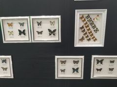 -佛山科学馆