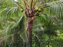 -海南清水湾莱佛士酒店