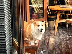 -熙古里艺术村