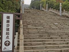 -铁山坪森林公园