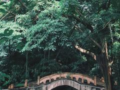 -望江楼公园