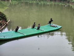 -星湖旅游景区七星岩