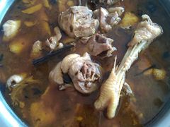 -华龙特色大骨鸡农家菜馆