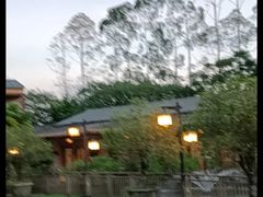 -大门水乡·顺德菜