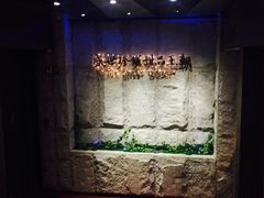 -糖朝(尖沙咀店)