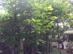android_upload_pic-新竹里馆·花园餐厅(兴苑路店)