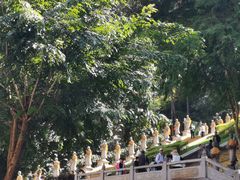 -西双版纳勐泐文化旅游区