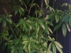 -阿伟海鲜楼·福建菜(涵江店)