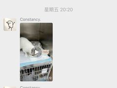 -达爱动物医院·犬猫分区·CT·复杂眼科(远洋山水分院)