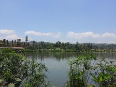 -枫香湖儿童公园