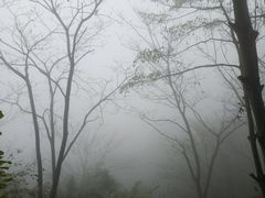 -武当山风景区