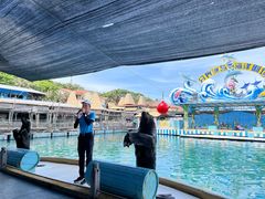 -海南分界洲岛旅游区