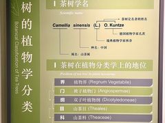 -中国茶叶博物馆(双峰馆区)