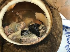 原只椰子炖竹丝鸡-達揚原味燉品(文明路店)