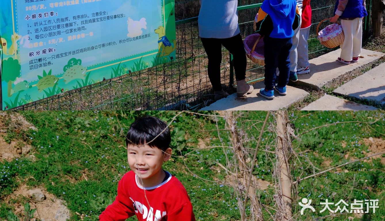 这样一个地方、简直太爱了，风景、孩子，欢乐，都齐了