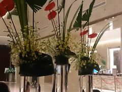 android_upload_pic-常州环球恐龙城维景国际大酒店