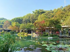 -云溪植物园