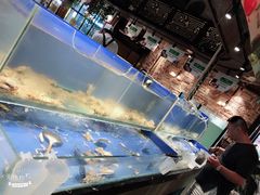 -甄品麦哲伦海鲜和牛自助(万达广场店)