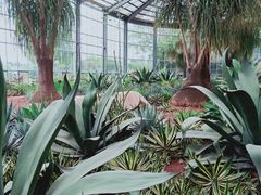 -南通洲际绿博园