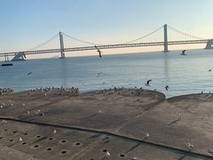 -星海湾跨海大桥