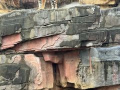-无锡动物园·太湖欢乐园