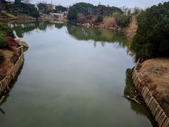 -桃花岛景观公园
