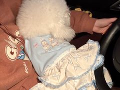 -枫花园汽车电影院(朝阳公园店)