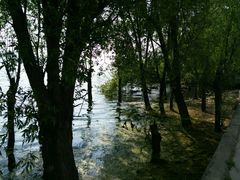 -才村湿地公园