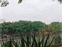 -西湖公园(鼓楼区)