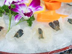 -星盛美食·番禺东环·地道顺德风味(桥兴大道店)